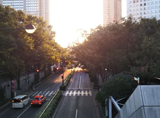 西新宿　京王プラザホテル脇から中央公園へ