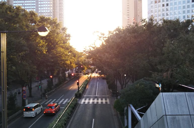 從西新宿京王廣場酒店到中央公園