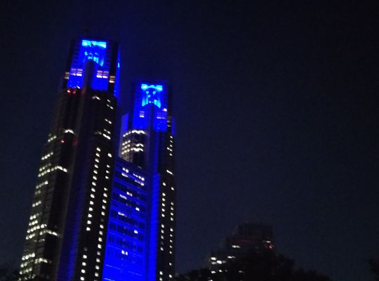 都庁　ライトアップ　中央公園より