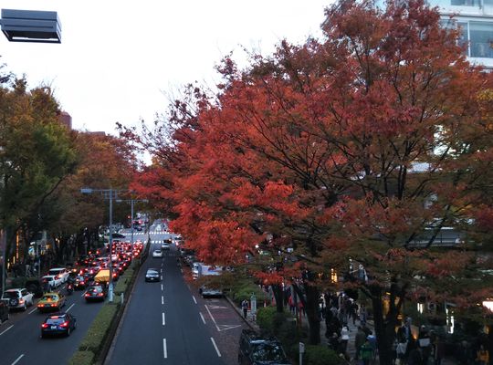 表参道　原宿寄り