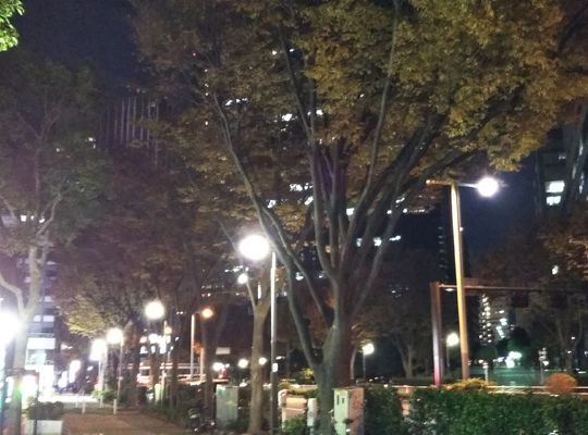 西新宿六丁目　夜道