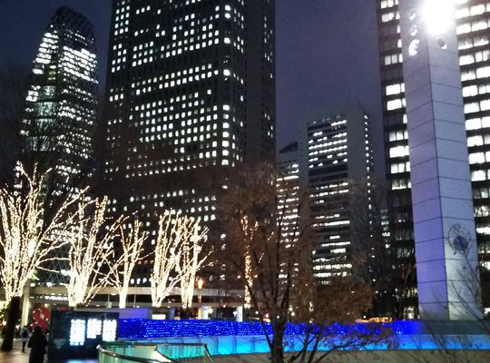 新宿アイランド　イルミネーション2020.1