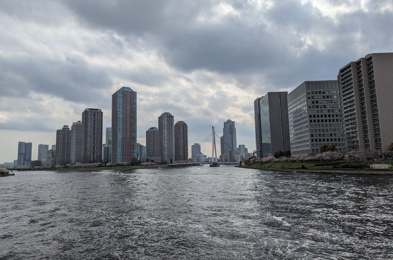 東京に桜、ベイサイド・エリア