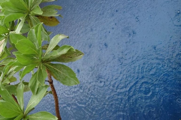 雨