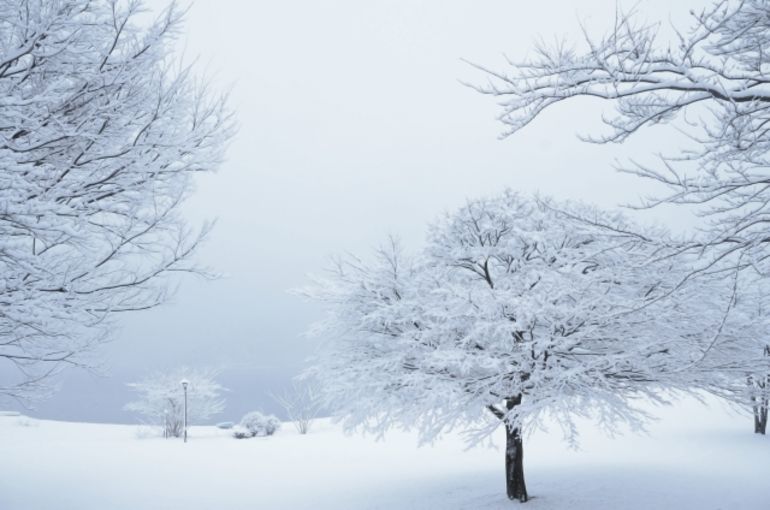 雪