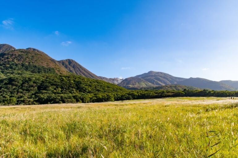 초원
